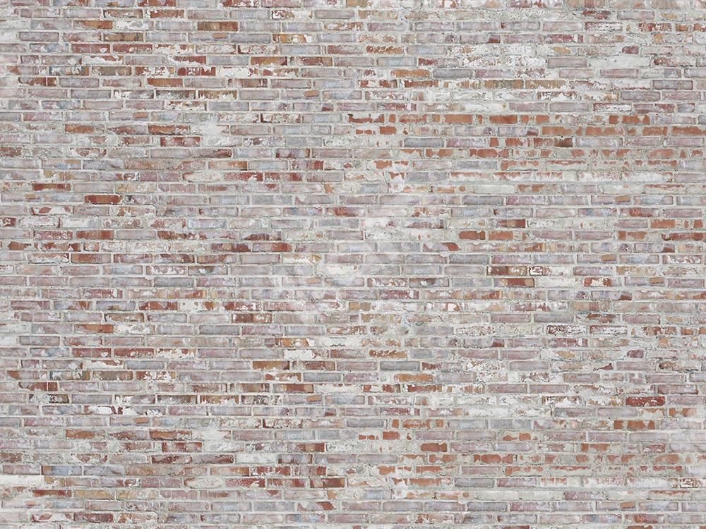 Kate Vintage Brick Backdrop Grey for Portrait Designed by Jia Chan Photography -UK