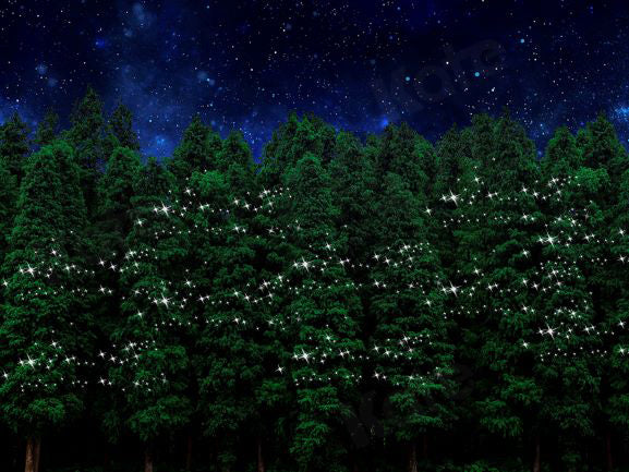 Kate Christmas Forest Night Backdrop Designed by Chain Photography -UK