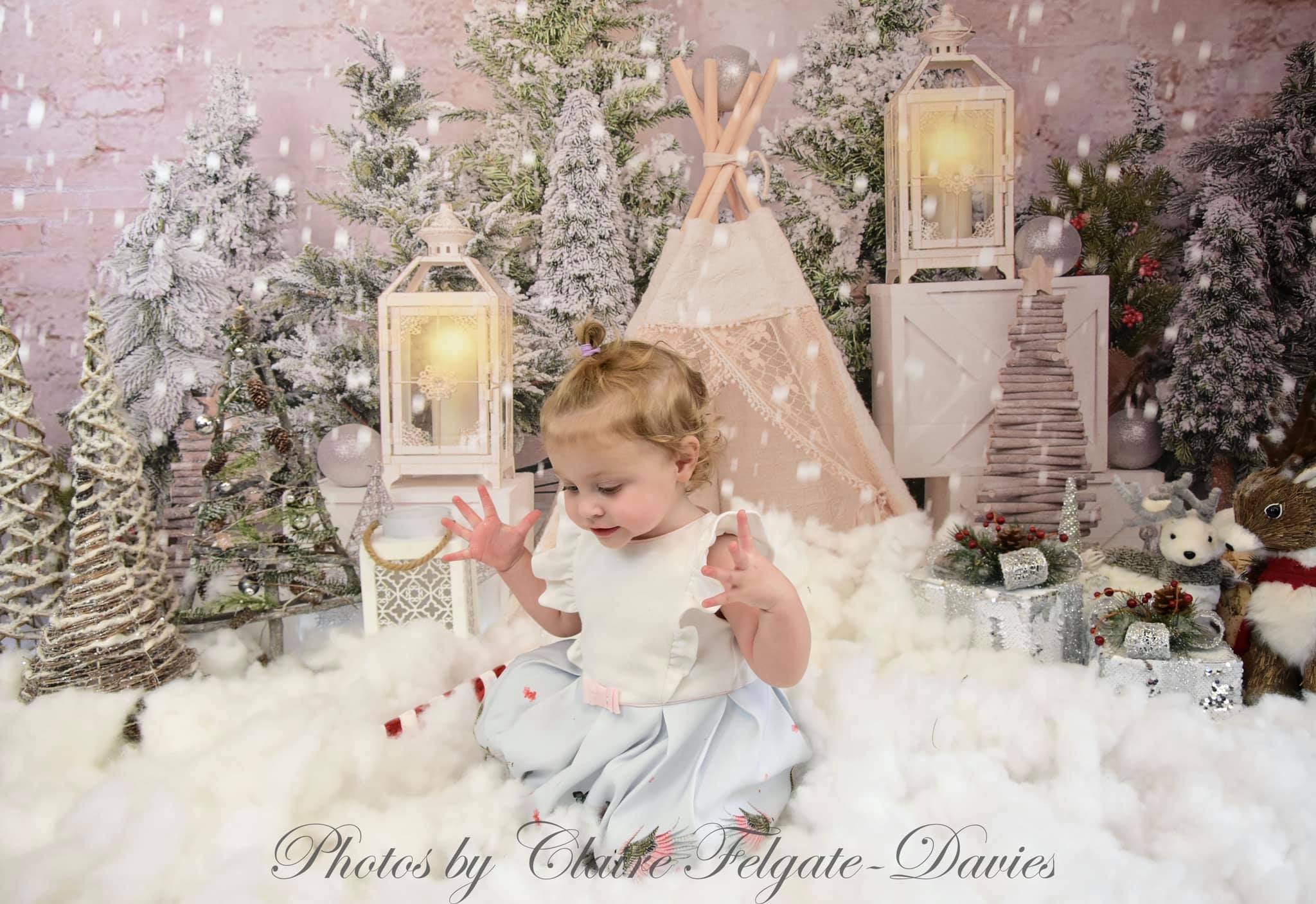 Kate Christmas Trees Tent Backdrop Designed by Emetselch -UK