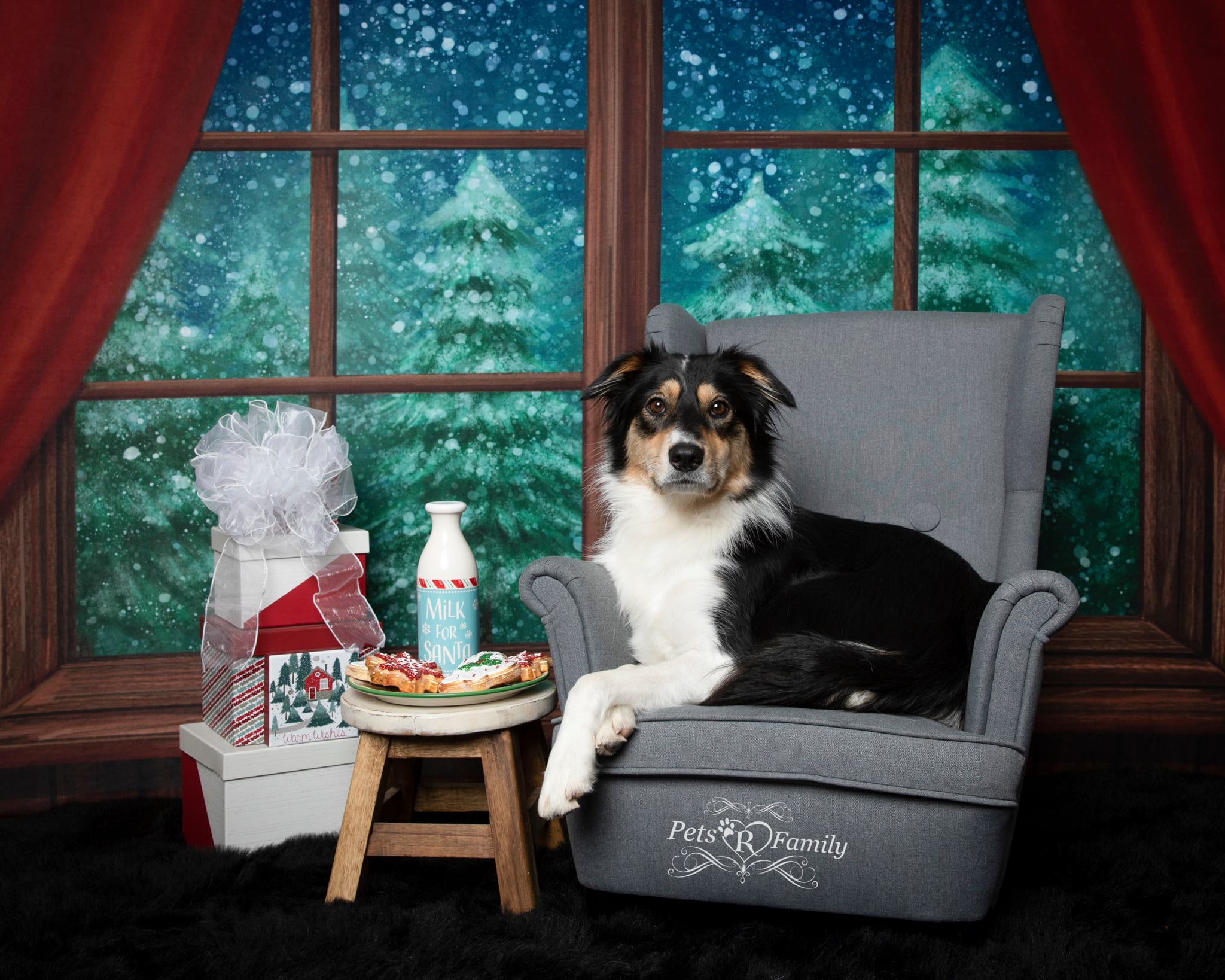 Kate Christmas Window Snow Night Backdrop Designed by Jia Chan Photography -UK