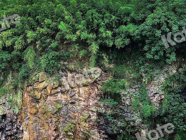 Kate Mountain Landscape Backdrop Designed by Emetselch -UK