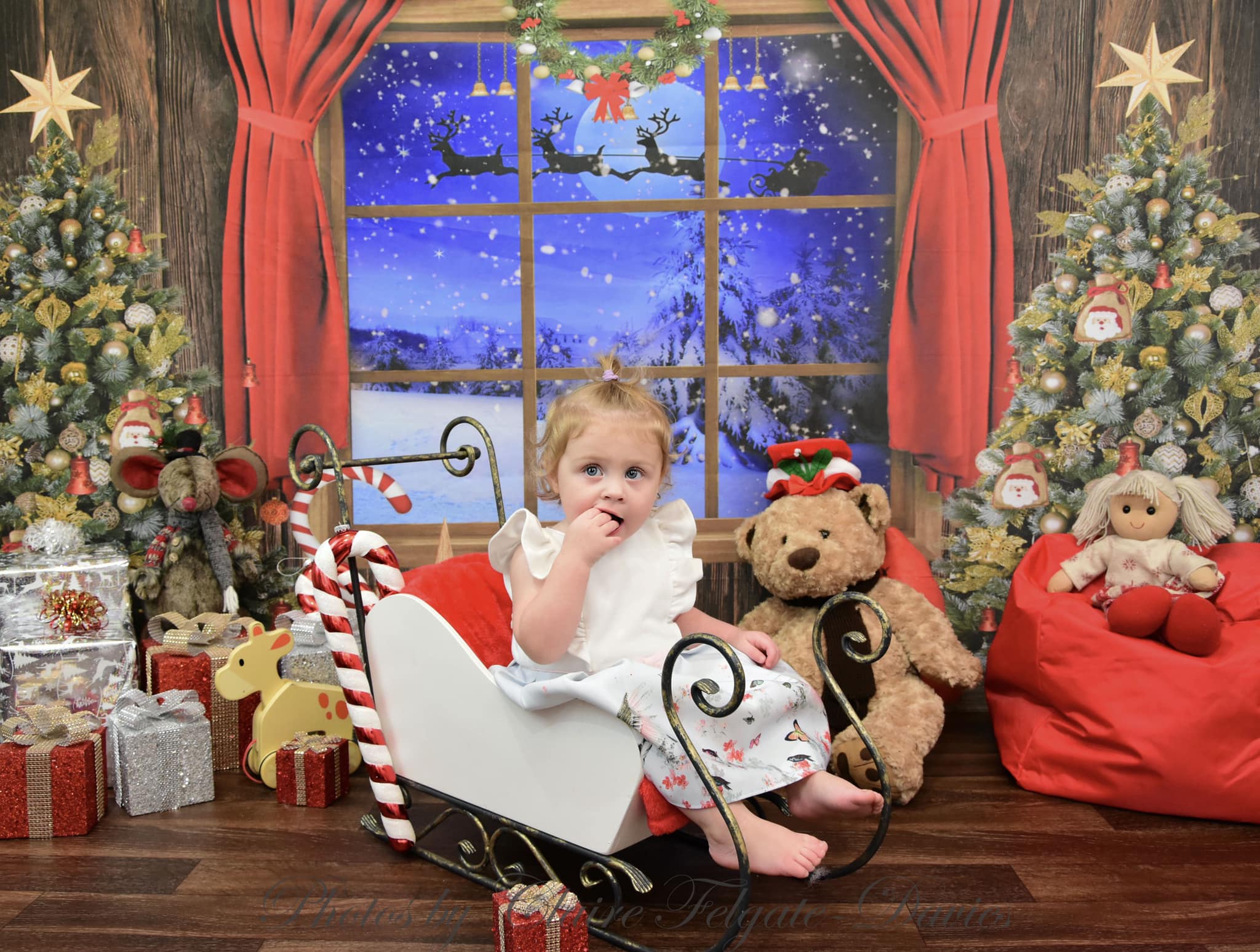 Kate Christmas Trees Window Backdrop Designed by Chain Photography -UK