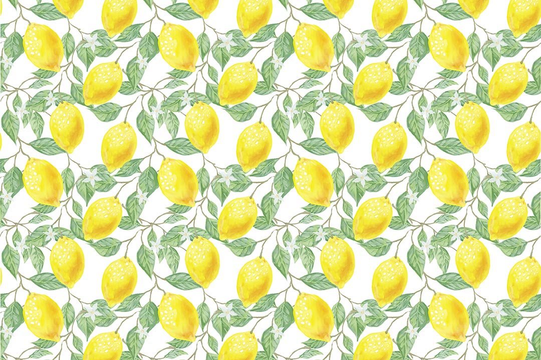 Kate Spring/Summer Yellow Fresh Lemons Backdrop Designed by Chain Photography -UK