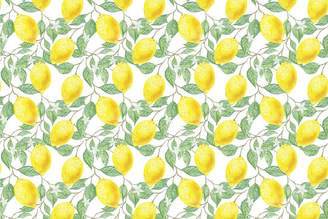 Kate Spring/Summer Yellow Fresh Lemons Backdrop Designed by Chain Photography -UK