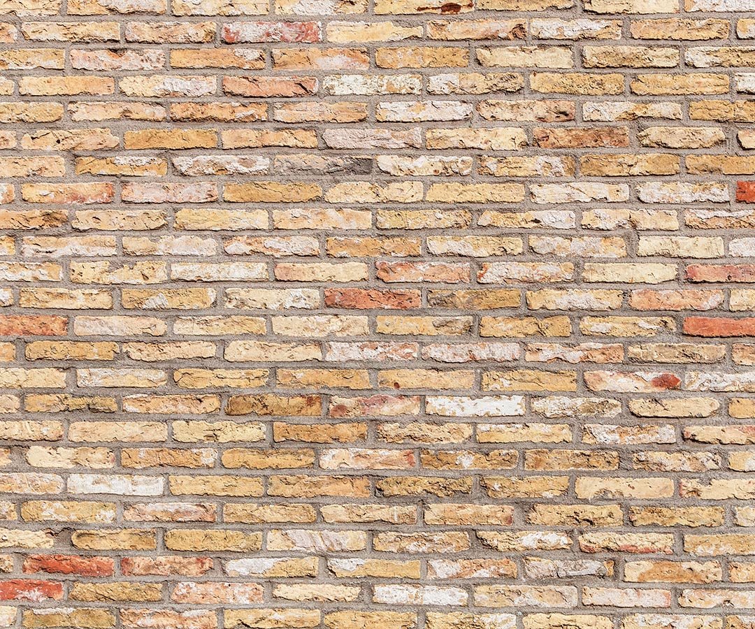 Kate Primary Color Brick Wall Backdrop for photography -UK