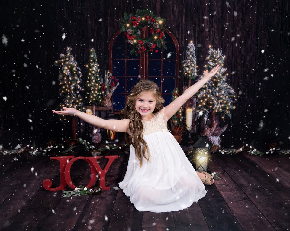 Kate Christmas Wood Room Backdrop Designed by Emetselch -UK