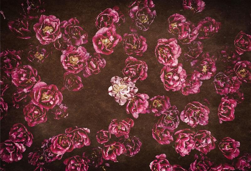 Kate Red retro Flowers Valentine's Day Backdrop for Photography designed by Jerry_Sina -UK