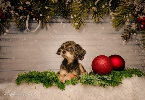 Kate wooden bokeh Christmas backdrop Pine branches decoration -UK