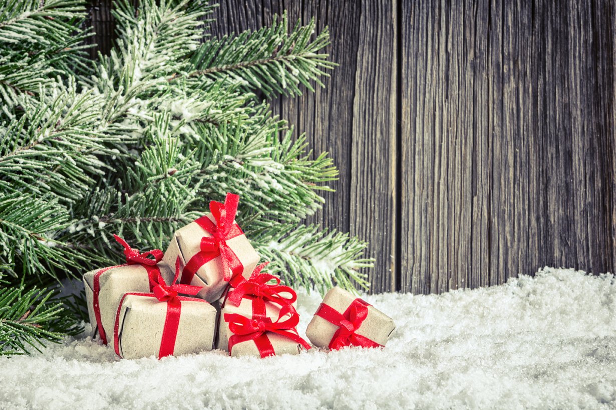 Kate pine with box dark Background for Christmas photography - Kate backdrop UK