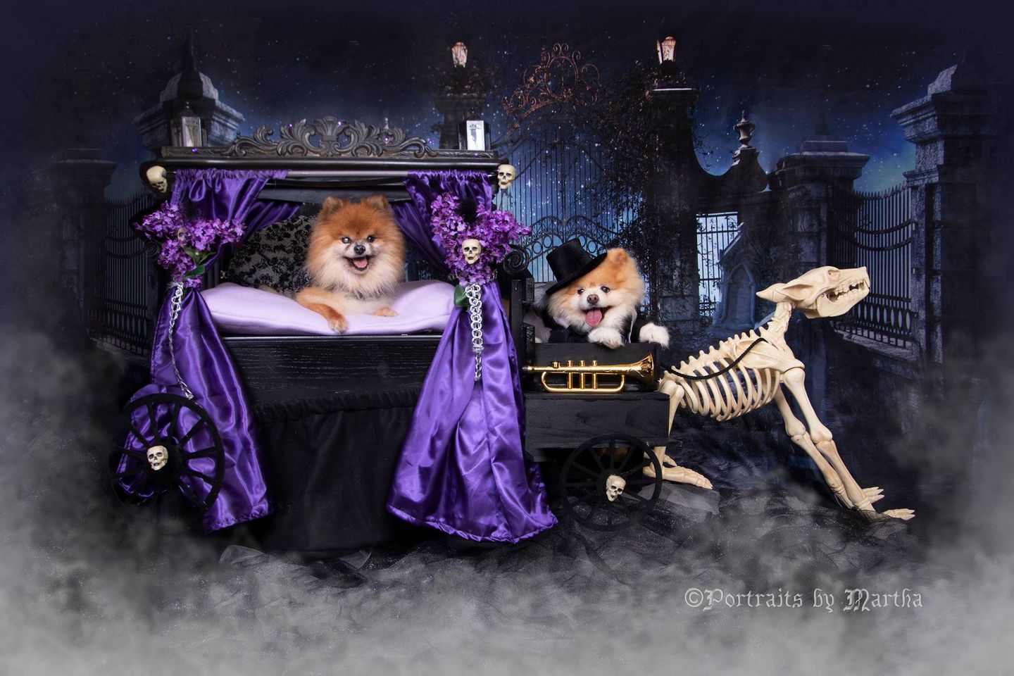 Kate Halloween Star Night Grave Scene Backdrop for Photography - Kate backdrop UK