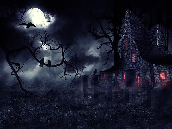 Kate Halloween Horror Dark Night Scene Backdrop for Pictures - Kate backdrop UK