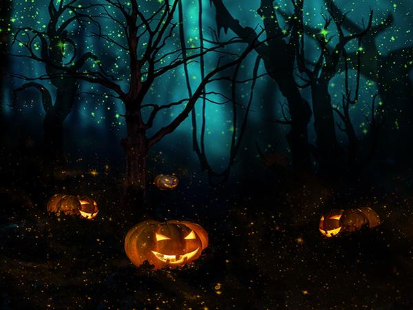 Kate Night Sparkle Scene Pumpkins Forest Backdrop for Halloween Photography - Kate backdrop UK