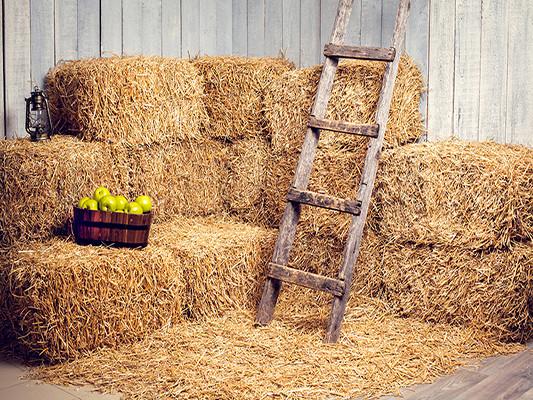 Katebackdrop£ºKate Farmhouse Haystack Ladder Fruit Nature Children Backrops