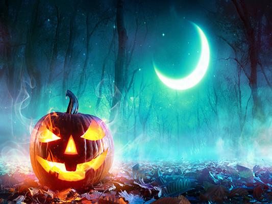 Katebackdrop£ºKate Halloween Night Photography Backdrops Pumpkin Moon