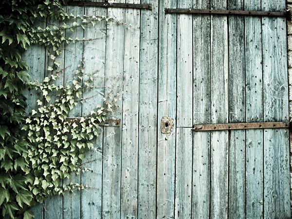 Katebackdrop£ºKate Wooden Barn Backdrop For Children Outdoor Photography