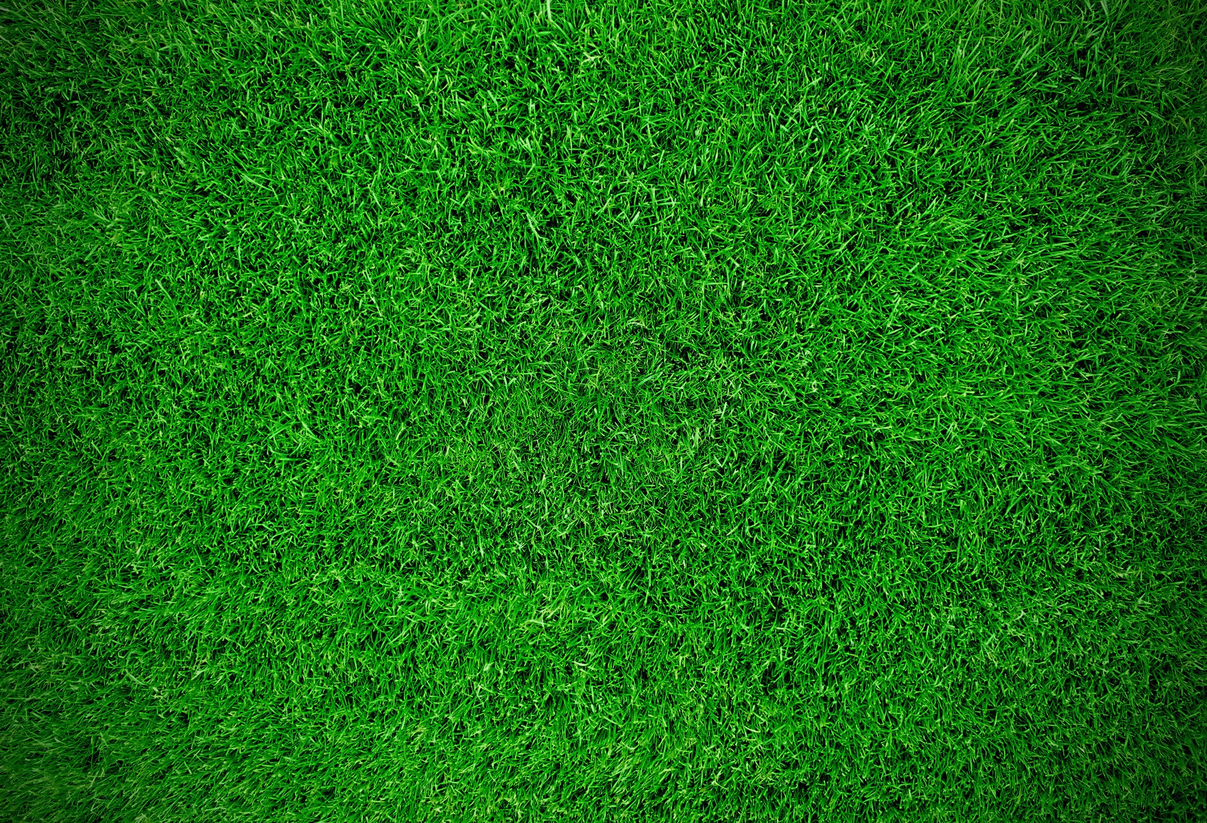Kate Green Lawn Backdrops For Photography -UK