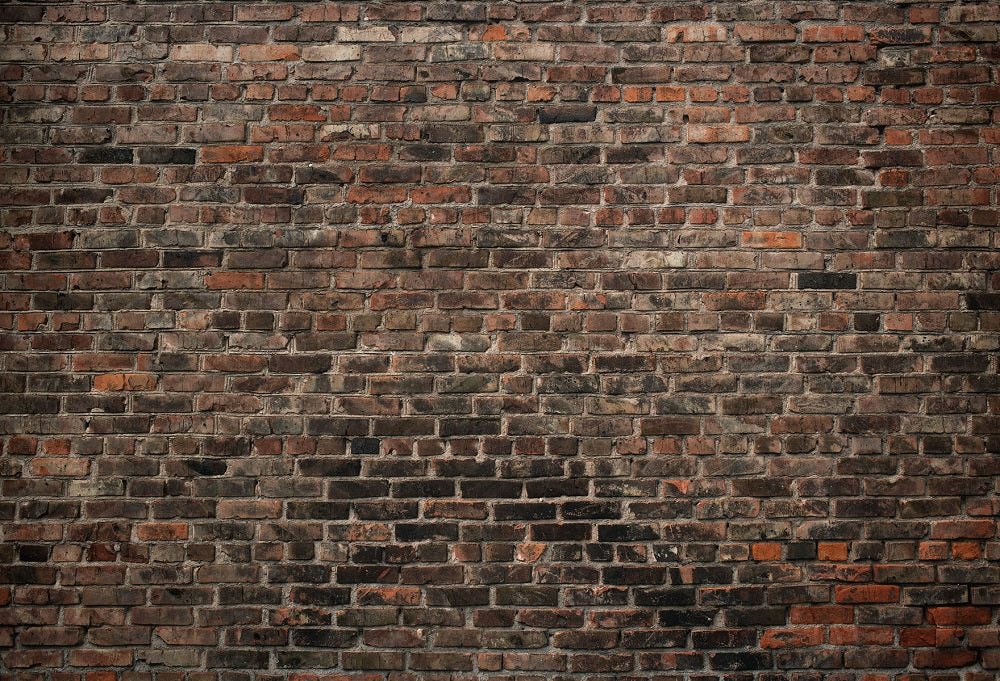 Kate Old Brick Wall for Photography -UK