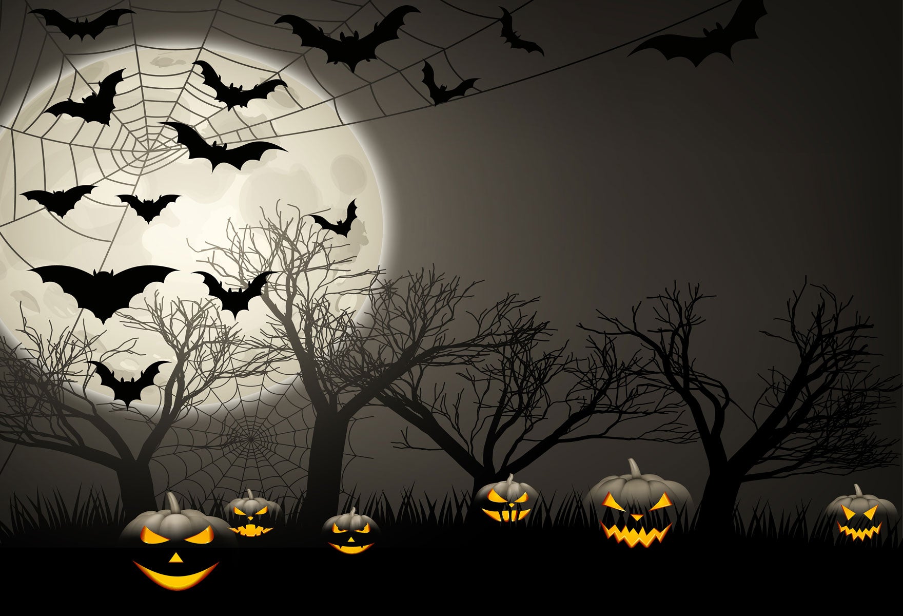 Kate Halloween Bats Pumpkin Backdrops For Photography -UK