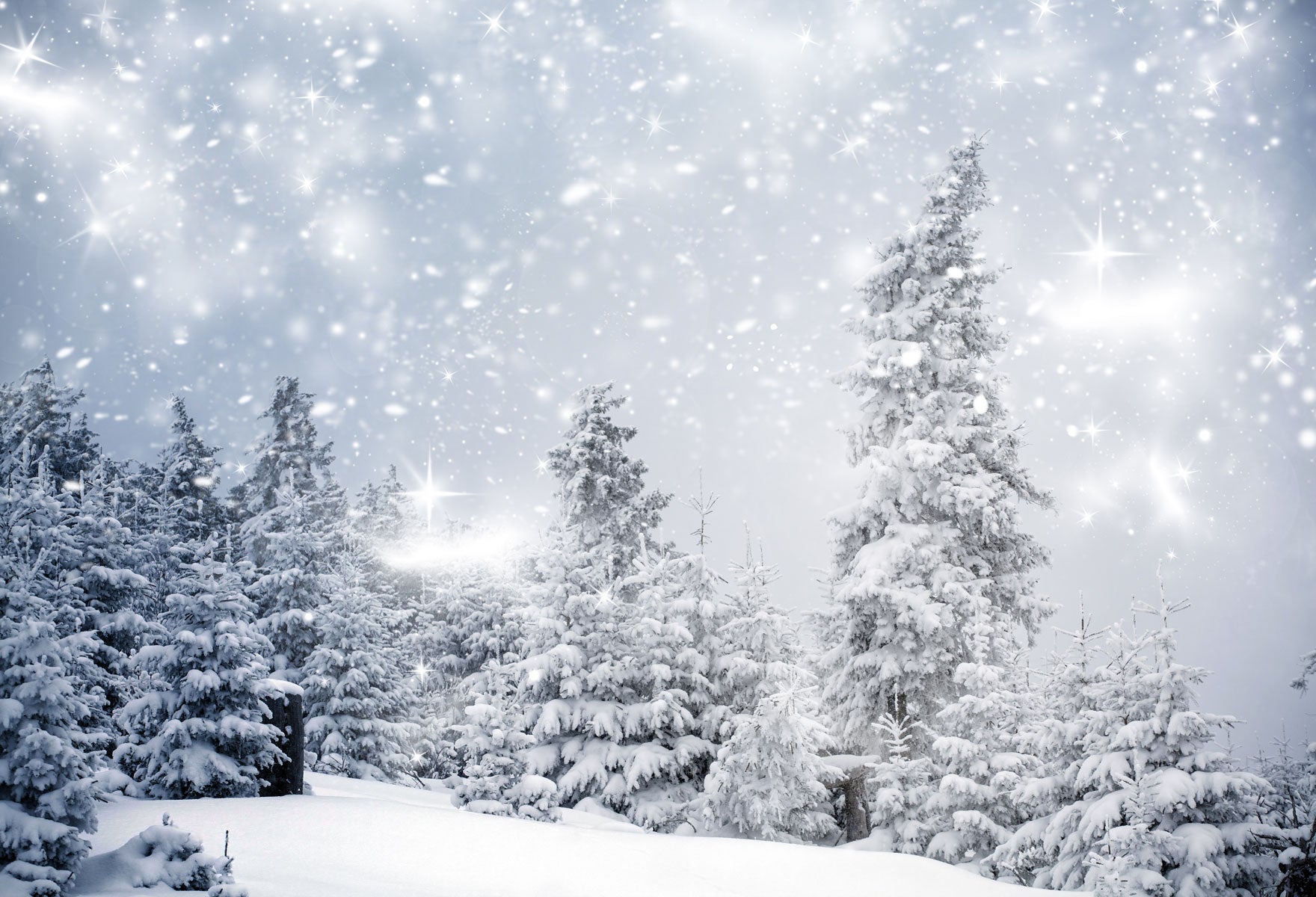 Kate Winter Snow Forest Backdrops For Photography -UK