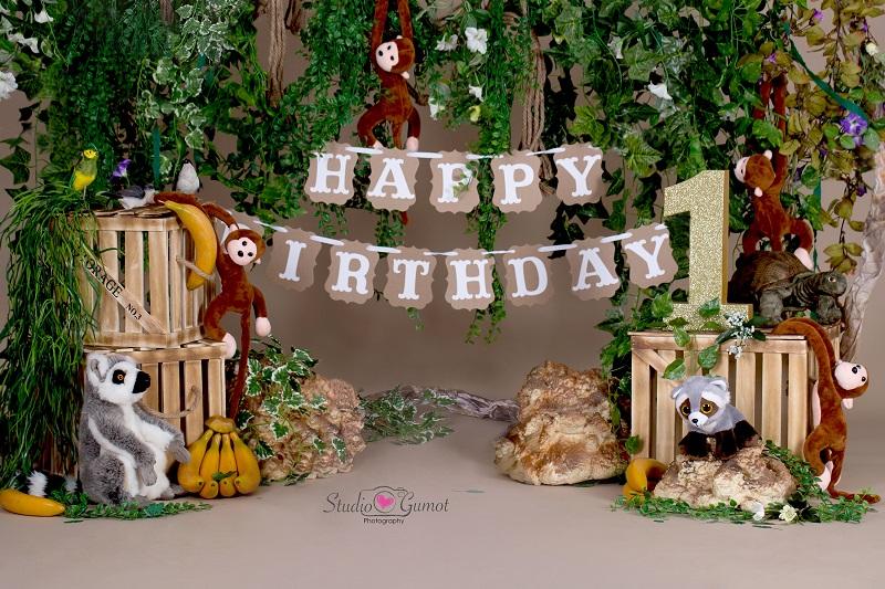 Kate Jungle cartoon zoo animals Summer backdrop 1st cake smash designed by studio gumot -UK