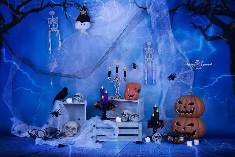 Kate Halloween Pumpkin And Dragonfly Decorations Backdrop for Photography designed by Studio Gumot -UK