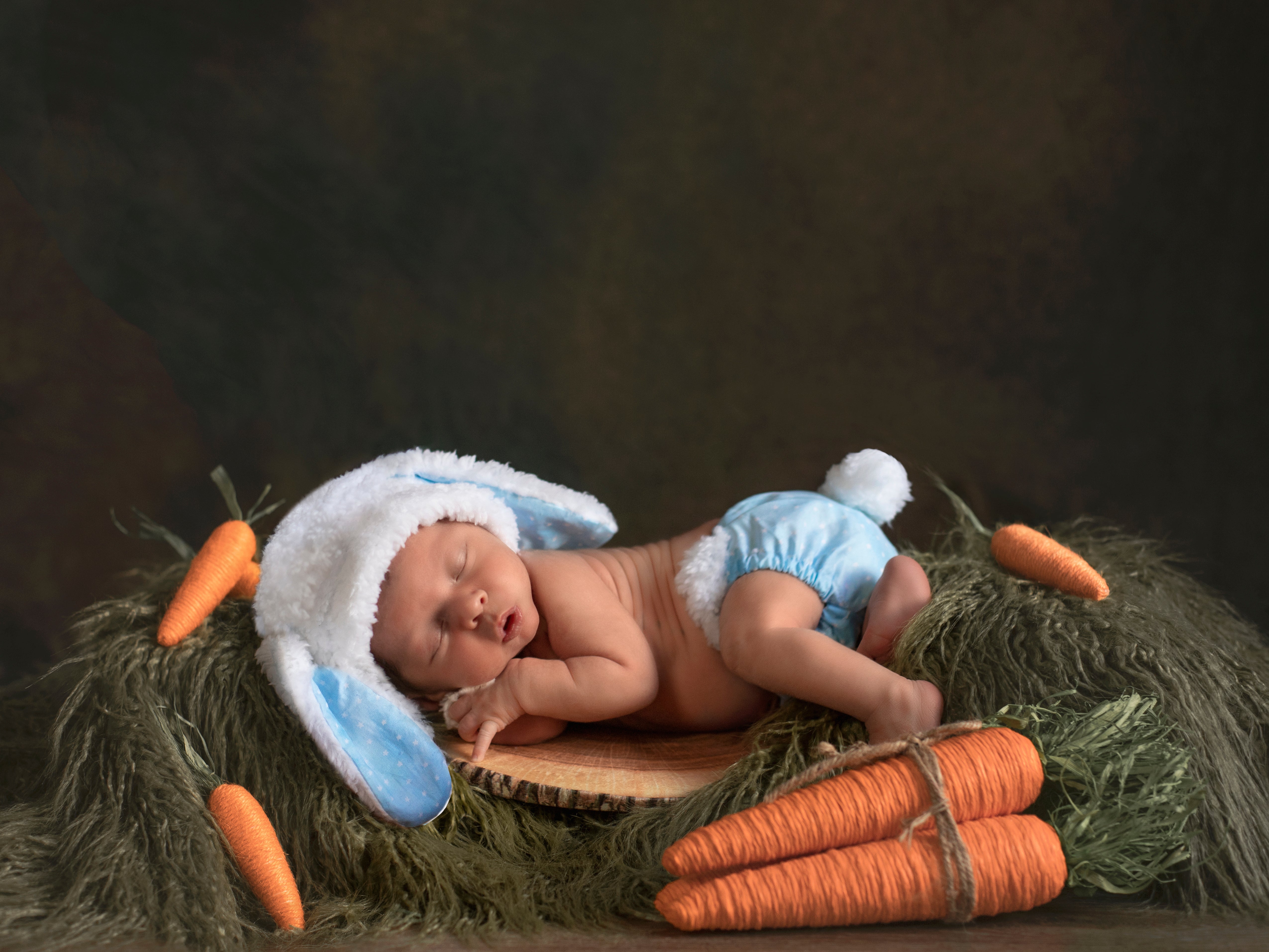 Kate Brown Mixed wiht Green Abstract Backdrop for Photography Designed by Mini MakeBelieve -UK