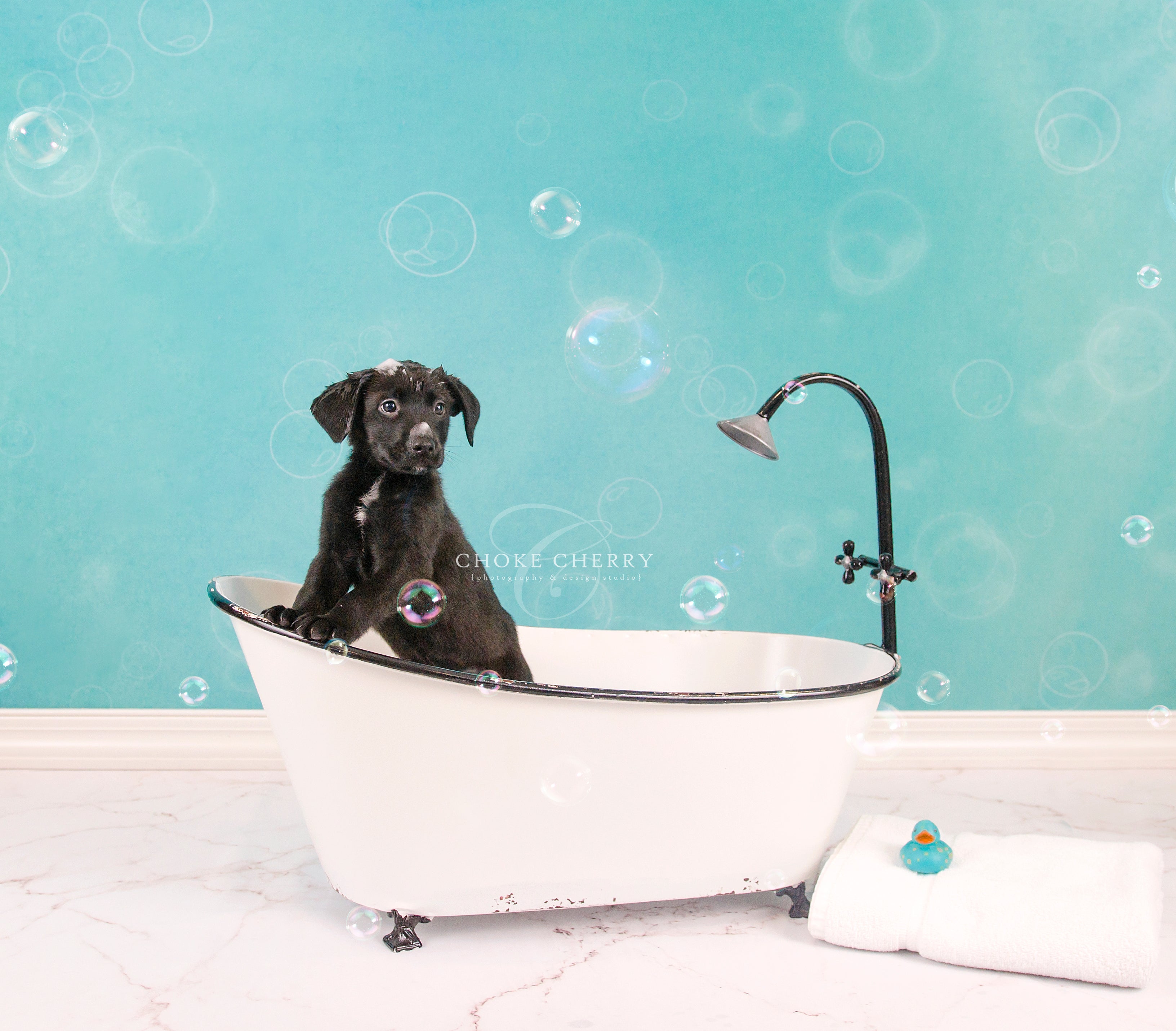 Kate Baby Shower Bubbles Backdrop for Photography Designed by Mini MakeBelieve -UK