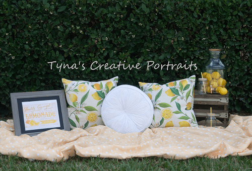 Kate Holiday Picnic Pillows Spring Backdrop for Photography Designed by Tyna Renner -UK