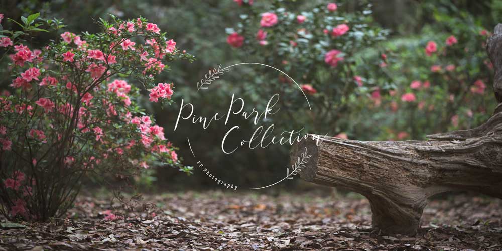Kate Garden with log bench spring Backdrop for Photography Designed by Pine Park Collection -UK