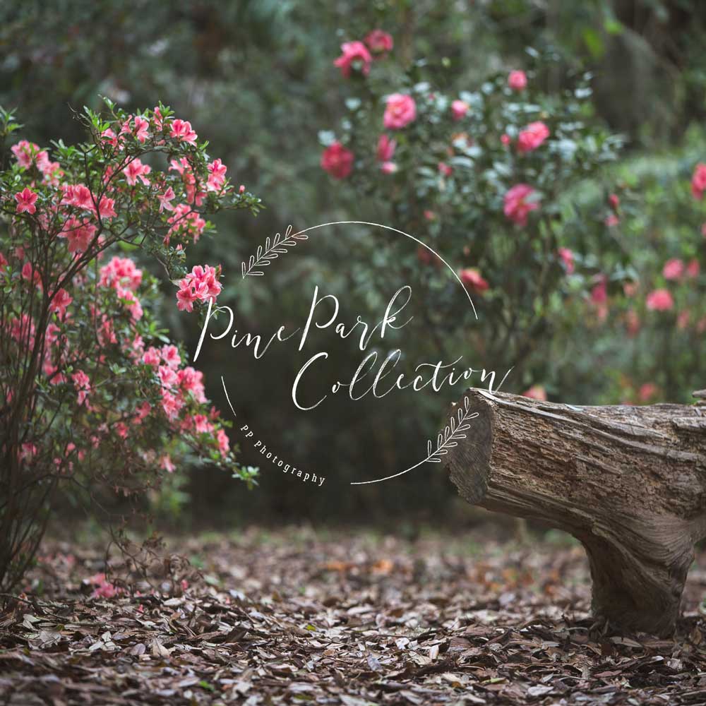 Kate Garden with log bench spring Backdrop for Photography Designed by Pine Park Collection -UK