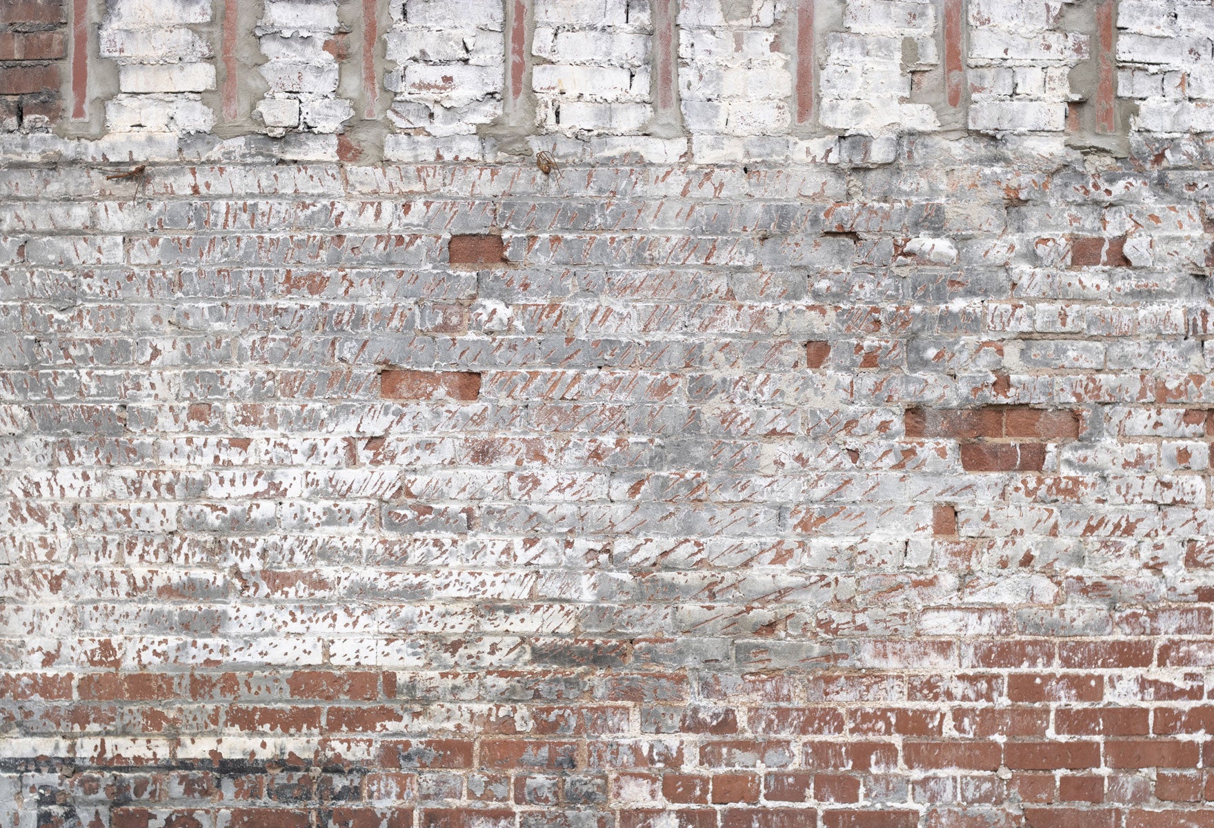 Kate White Brick Wall Backdrop for Portrait Photography Designed by Erin Larkins -UK