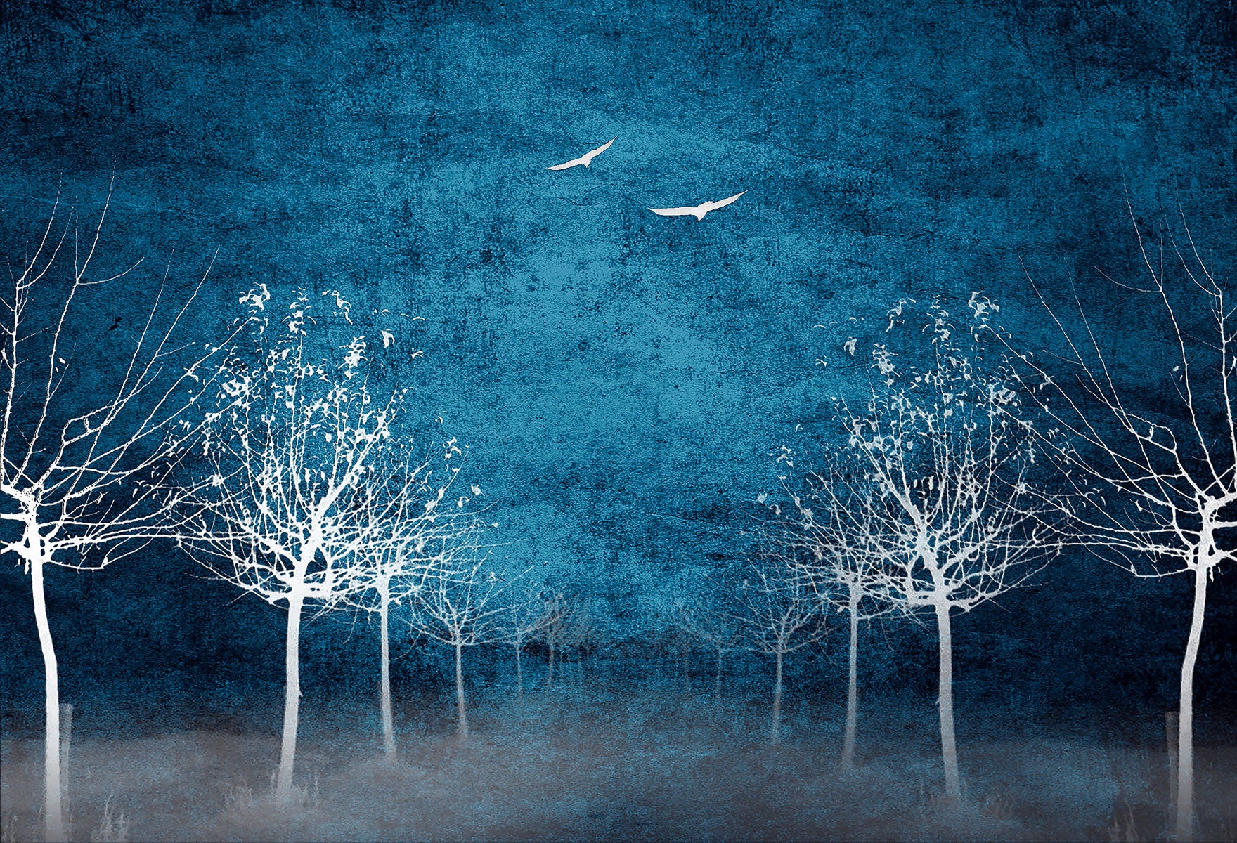 Kate White Trees Birds High Rez Backdrop for Photography Designed by Marina Smith -UK