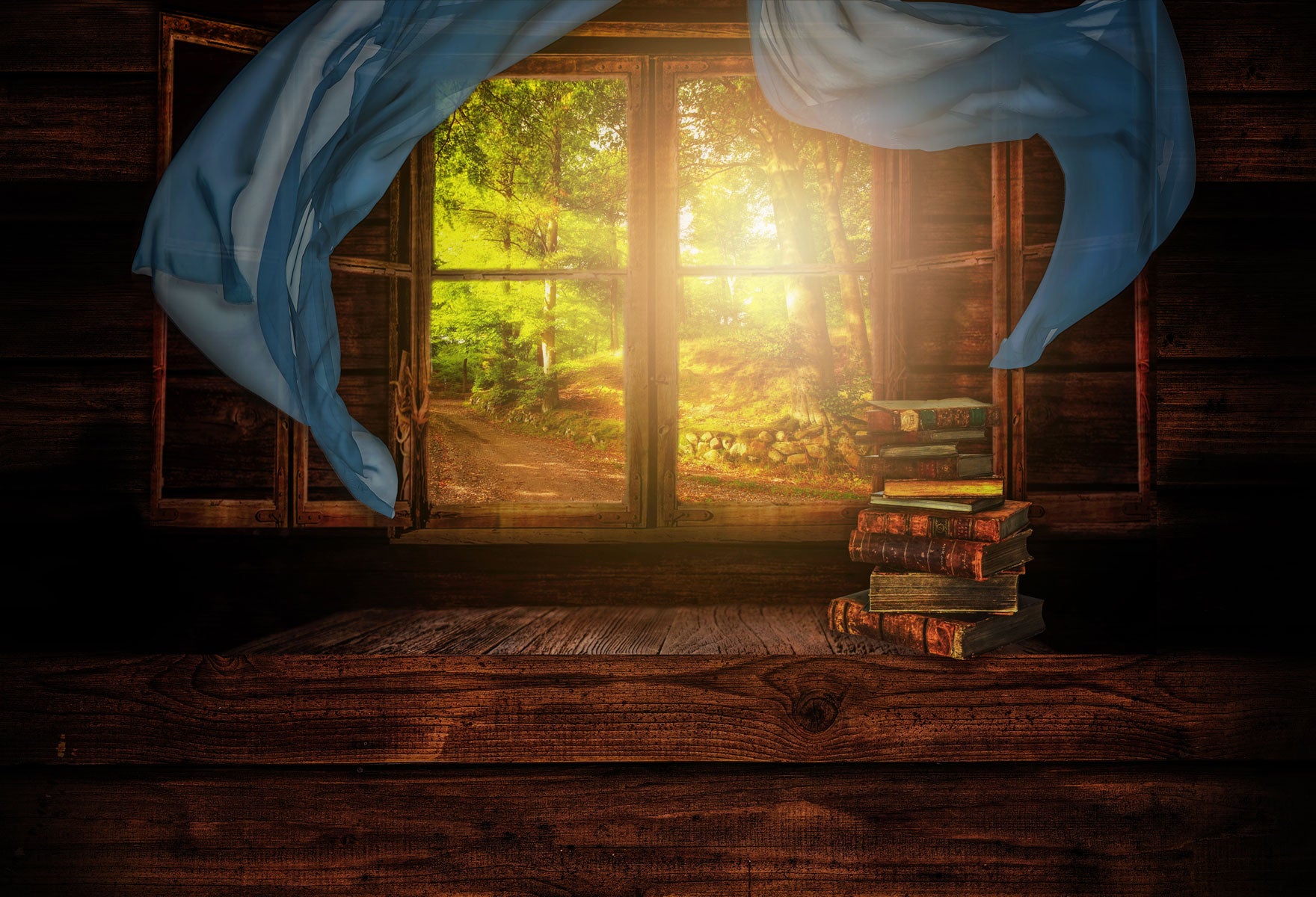 Kate Scenic Forest Outside the Window Book Backdrop for Photography Designed by Marina Smith -UK