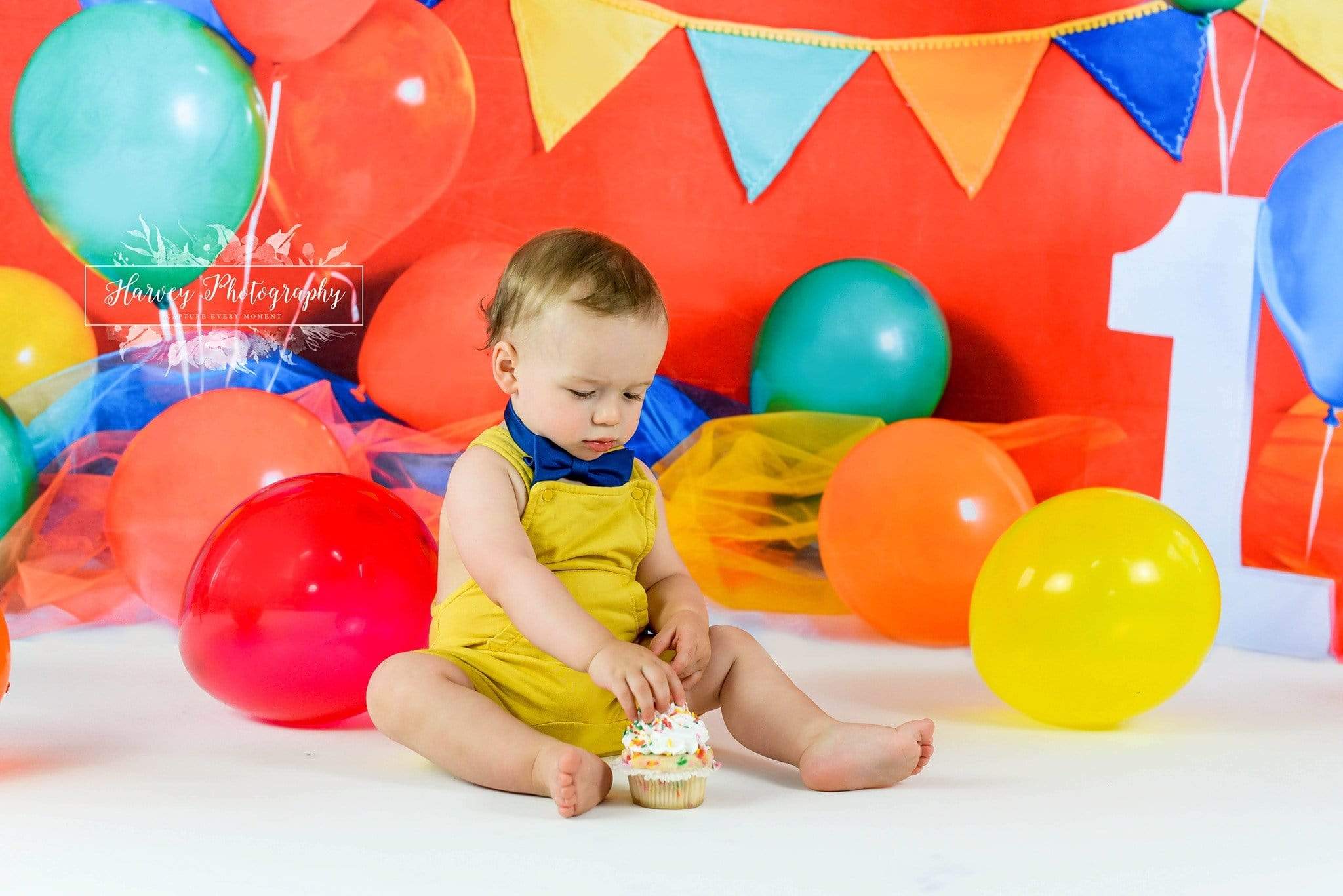 Kate Primary 1st Birthday Backdrop for Photography Designed by Keerstan Jessop -UK