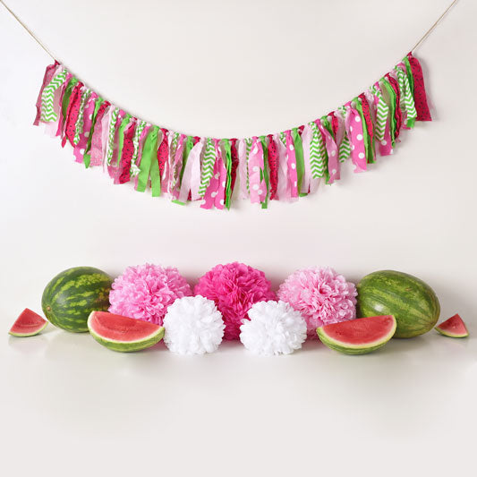 Kate Summer Watermelon Birthday Backdrop Designed by Mandy Ringe Photography -UK