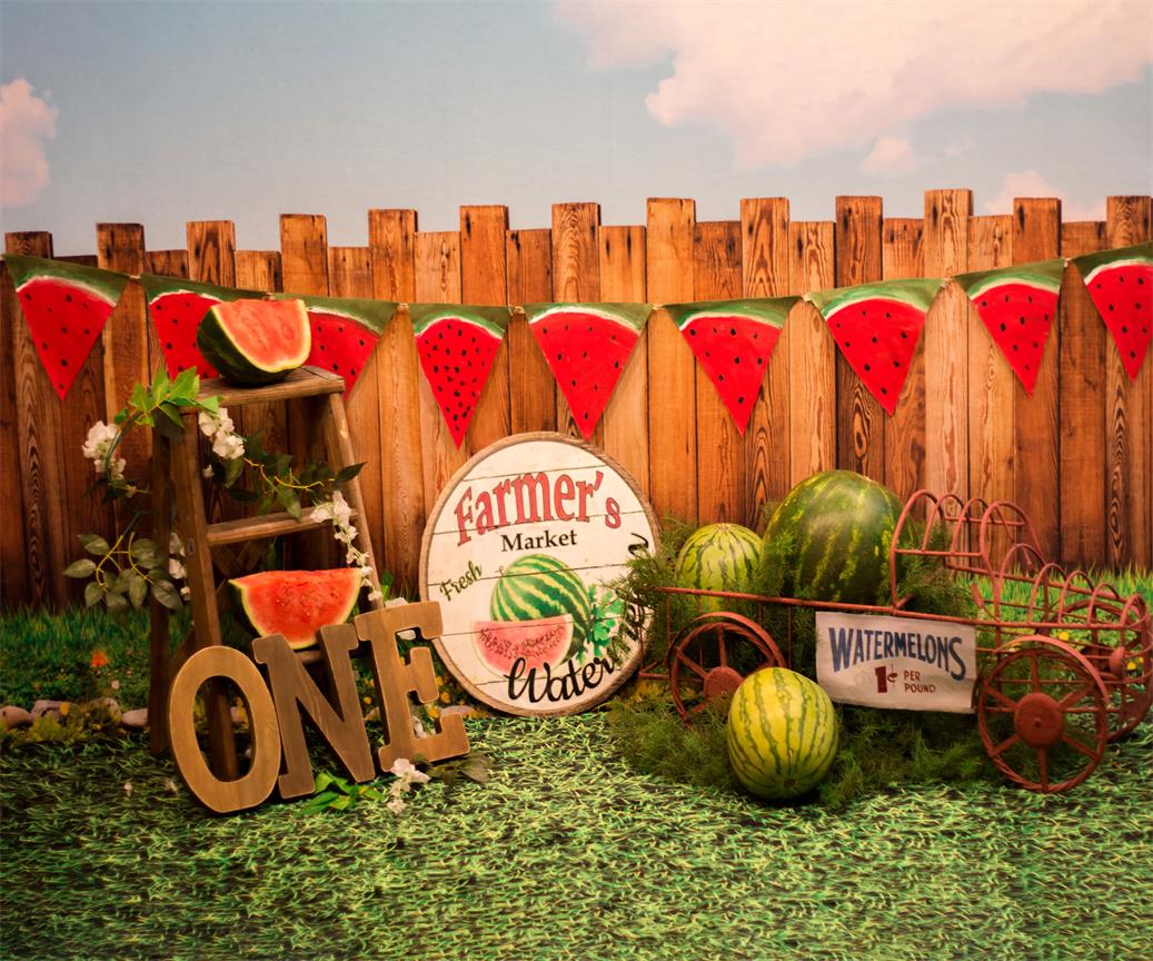 Kate Sunset Fence Watermelons 1st Birthday Backdrop Designed by Stephanie Gabbard