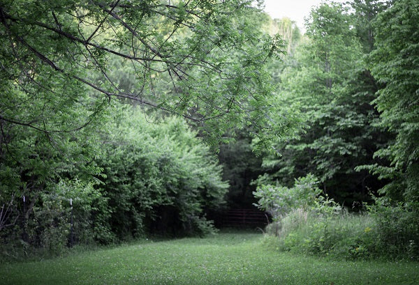 Kate Forest Green Grassland Backdrop for Photography -UK