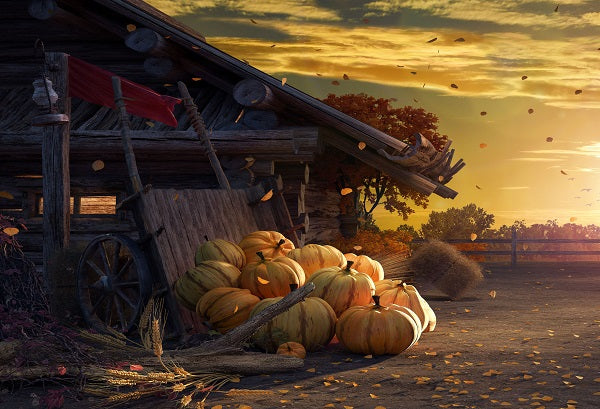 Autumn Harvest Pumpkins Sunset Fallen Leaves