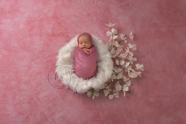 Kate Pink Rosy Blush Backdrop for Photography Designed by Modest Brushes -UK