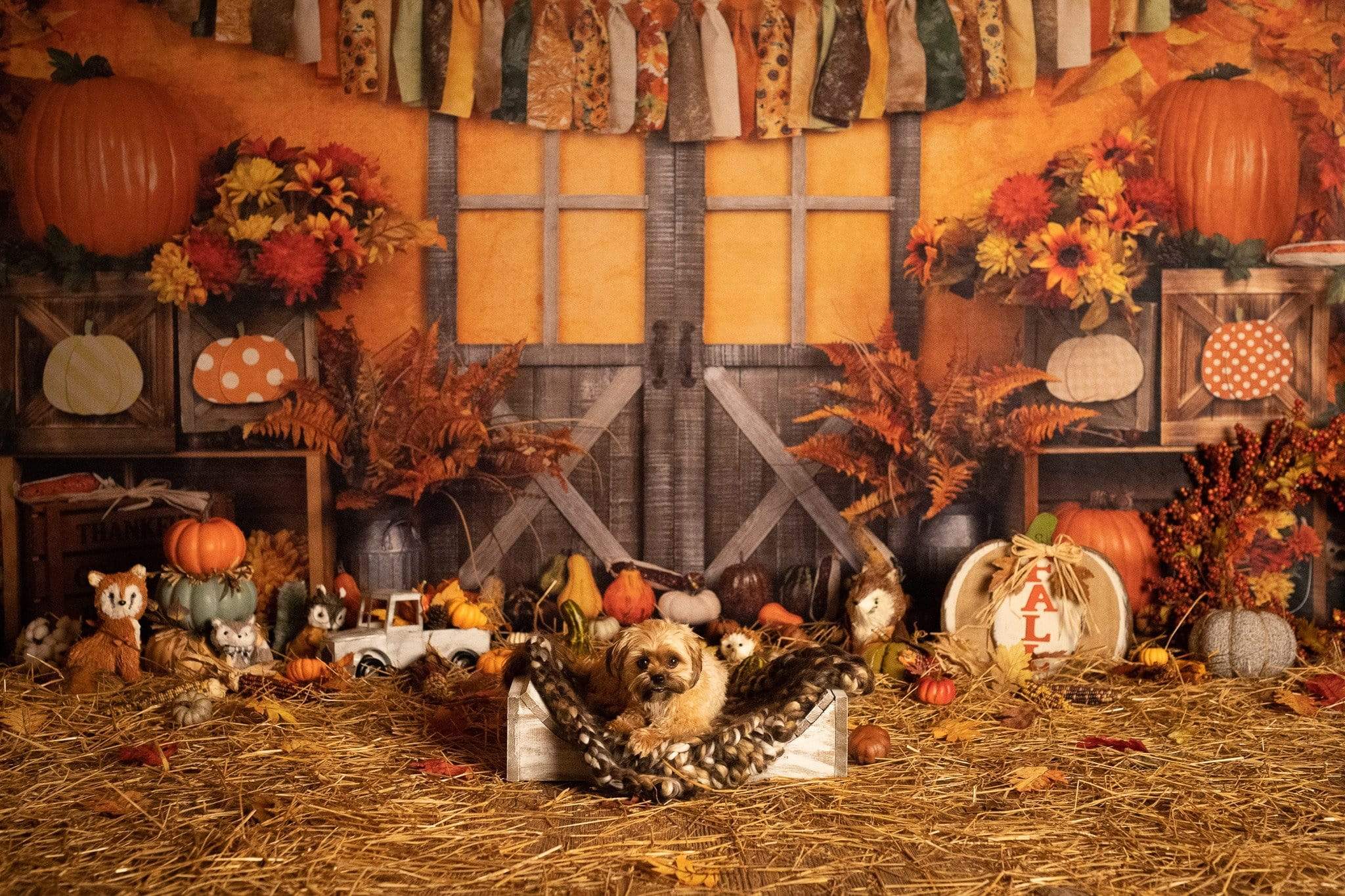 Kate Autumn Harvest Thanksgiving Backdrop -UK