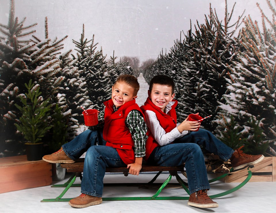 Kate Christmas Pines Tree Farm Path Backdrop for Photography -UK