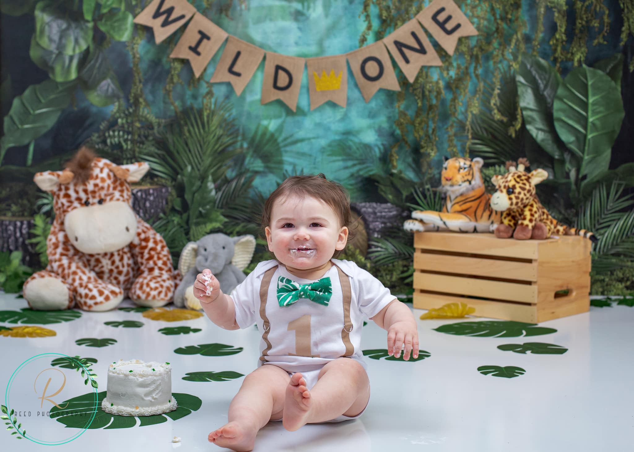 Kate Jungle Backdrop Designed by Mandy Ringe Photography -UK