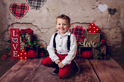 Kate Valentine's Day Love Heart Damaged Wall Backdrop for Photography Designed by JFCC -UK