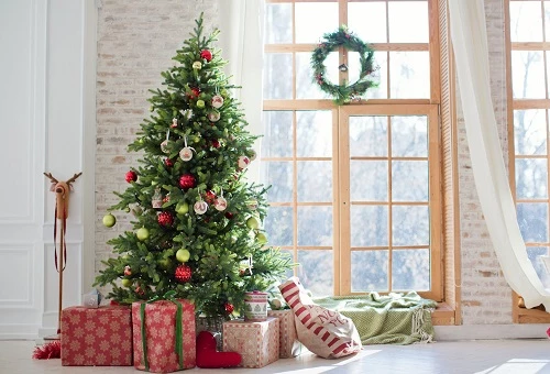 Kate Christmas Gifts Room Decoration Window View Backdrop -UK