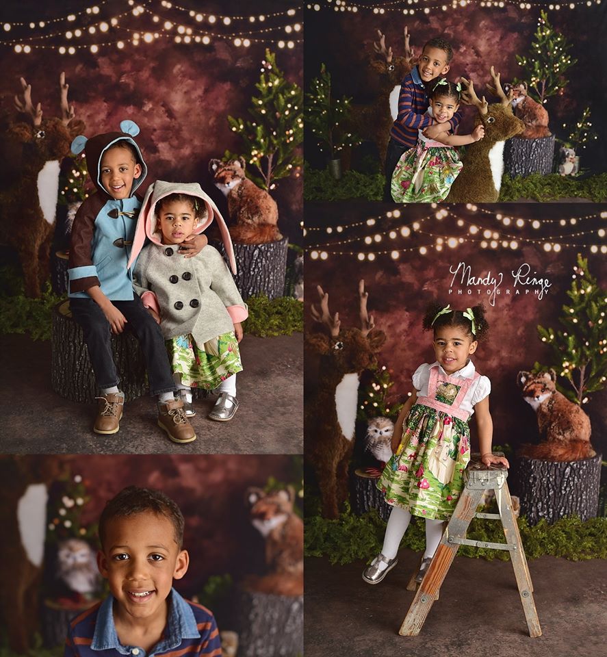 Kate Woodland Critters Backdrop Designed By Mandy Ringe Photography