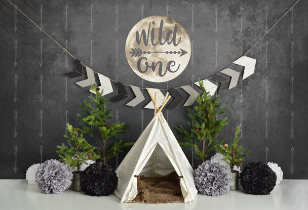 Kate Wild One Boy First Birthday Backdrop Designed By Mandy Ringe Photography -UK
