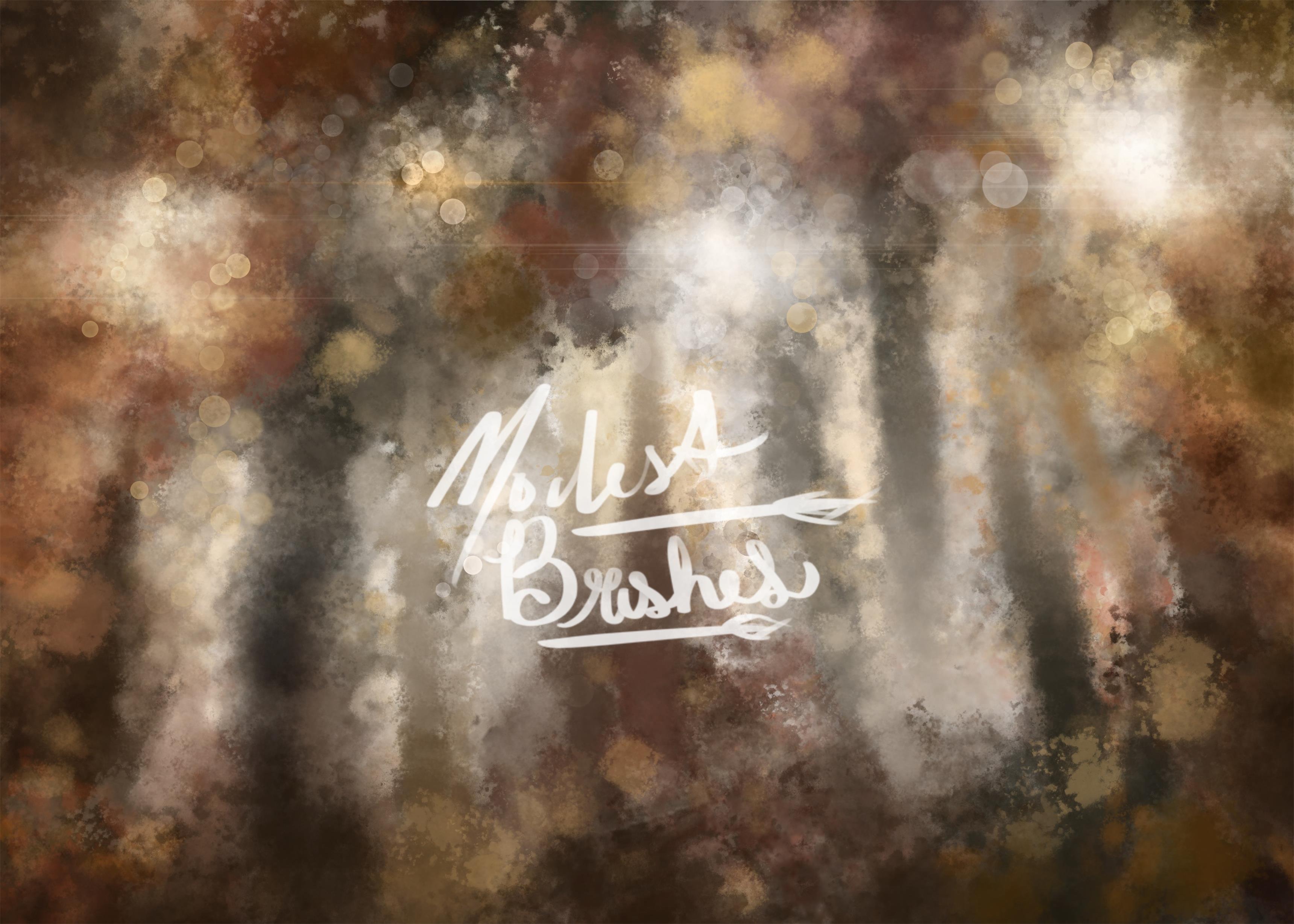 Sunlit Woods Backdrop