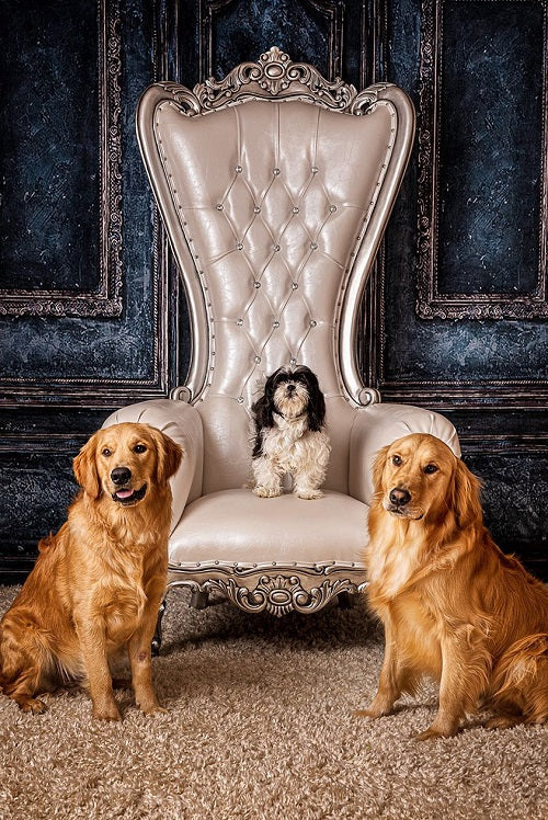 Kate Retro Deep Blue Wall Door Photography Backdrops Wedding -UK