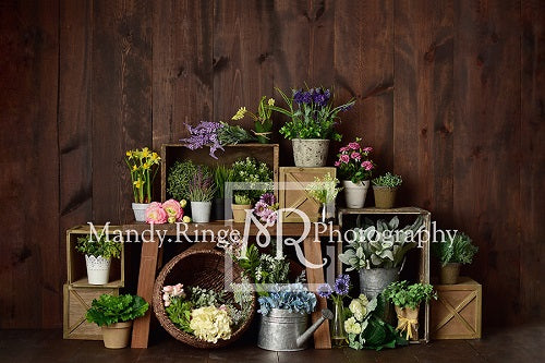 Spring Flower Crates Backdrop