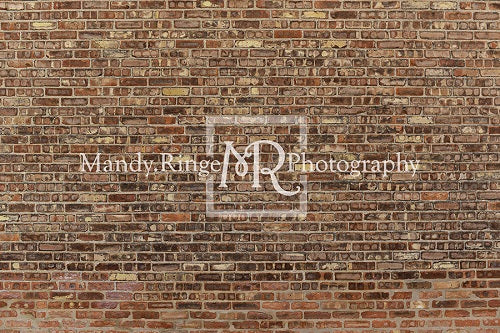 Retro Brick Wall Backdrop